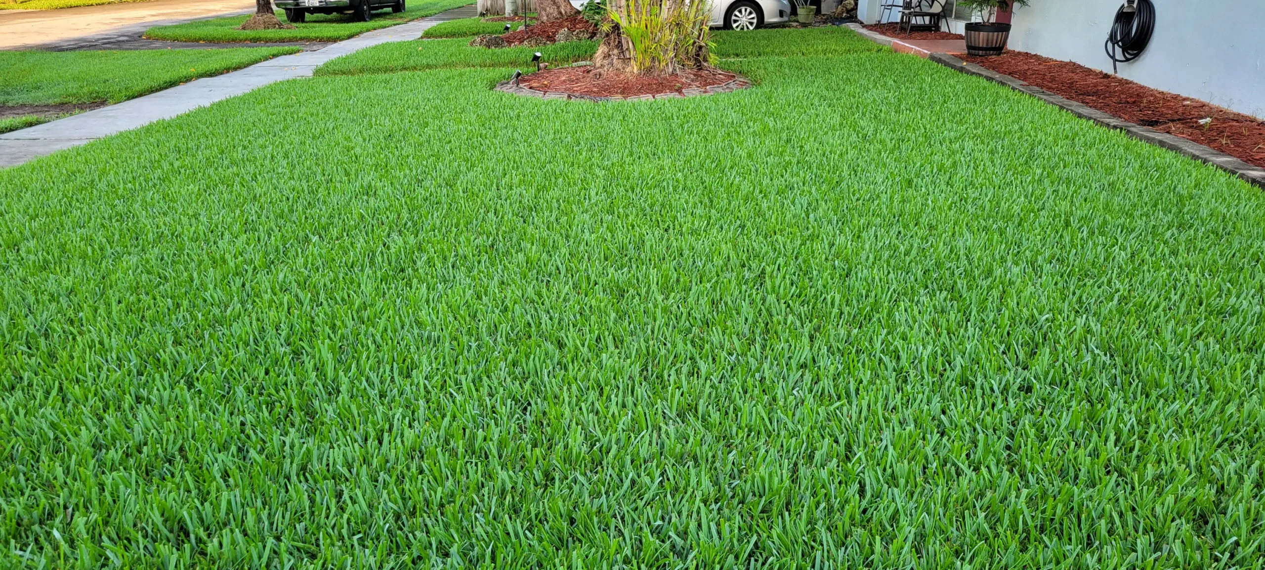 Healthy North Florida lawn under an annual program